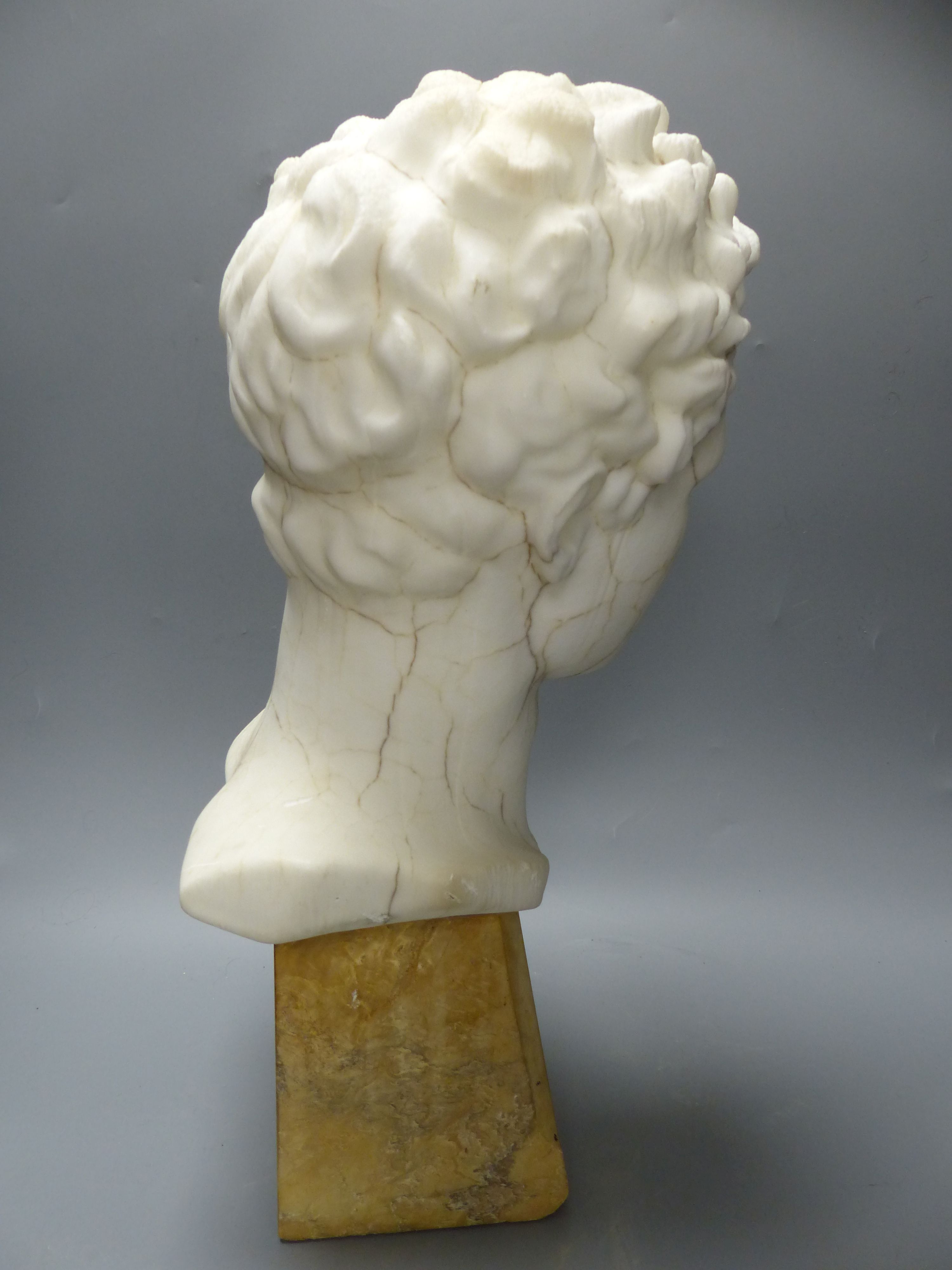 After the antique. A Veined white alabaster head of a Greek god, on a marble plinth, height 46cm